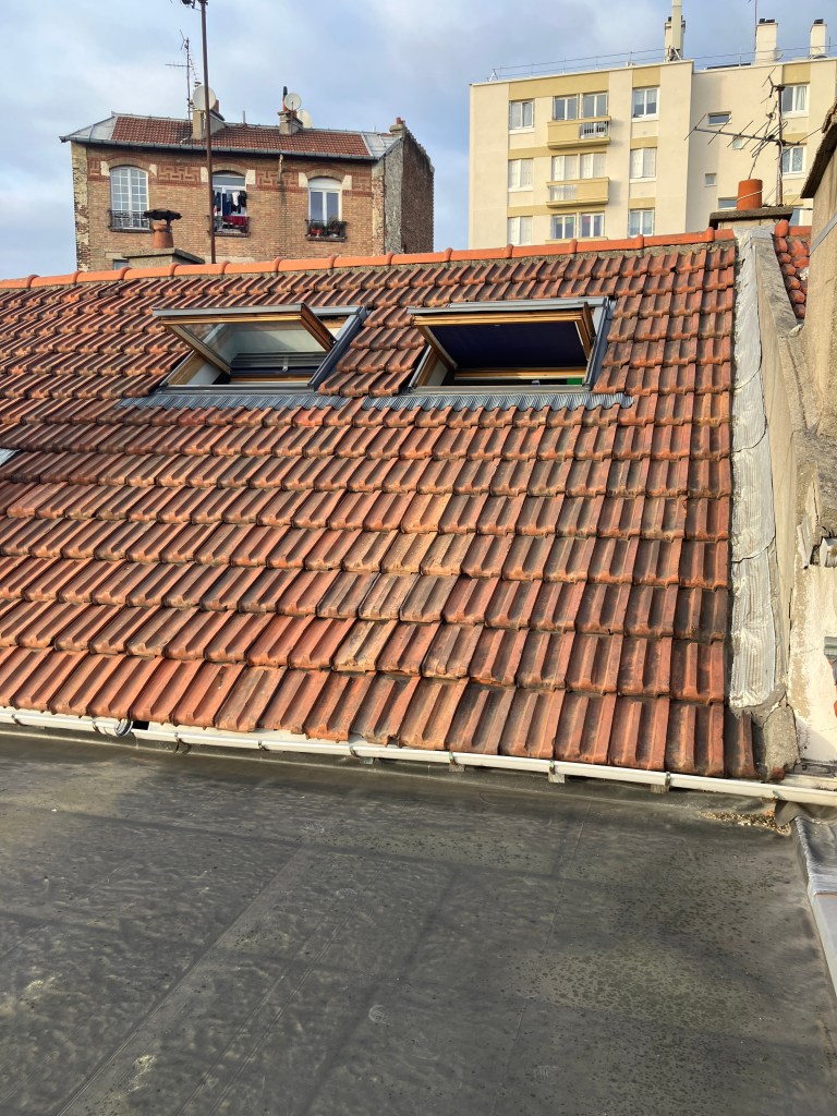 Toiture et fenêtres de toit existantes avant travaux – maison à Romainville
